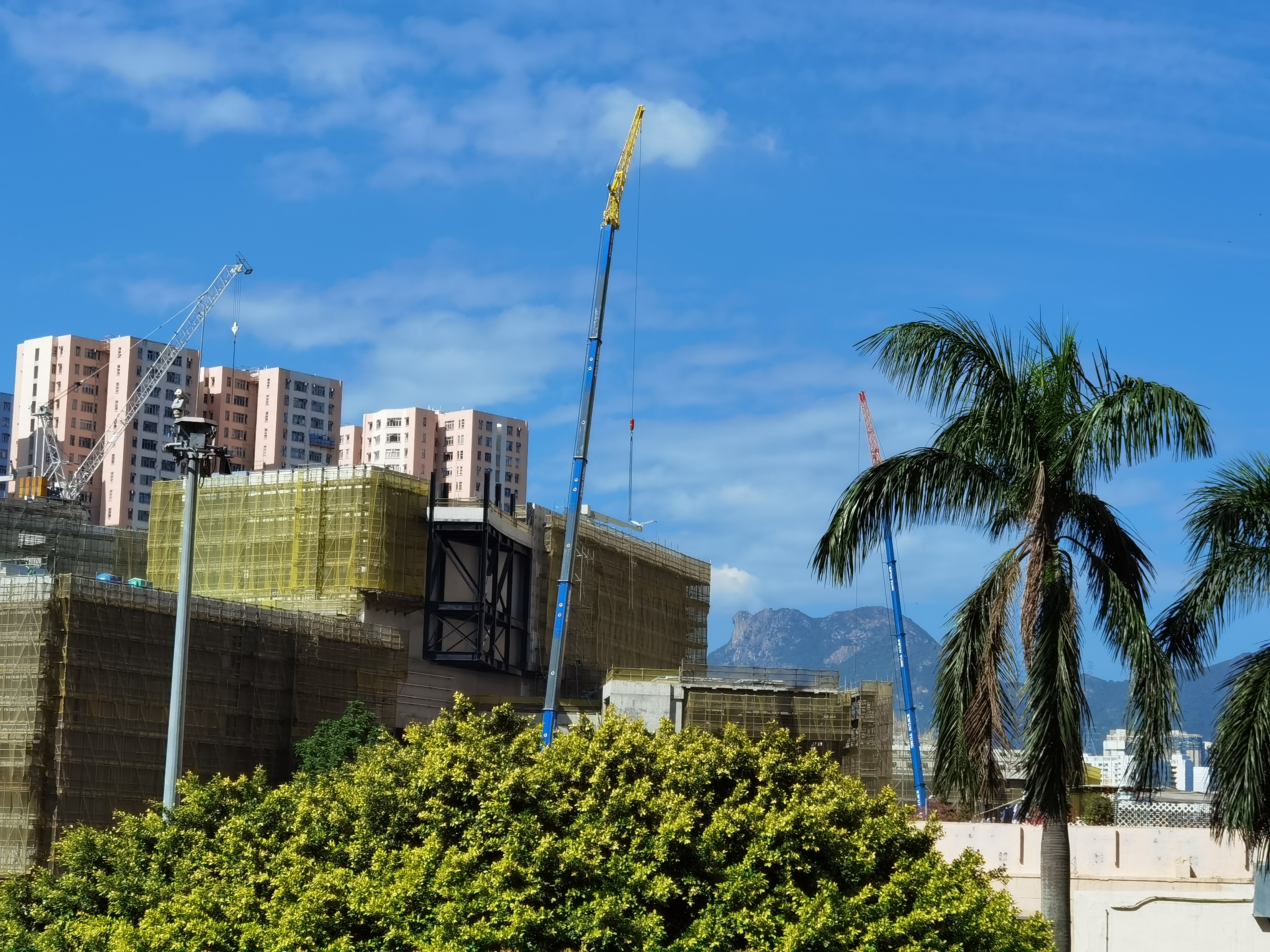 【我主場】疫情放緩，但您覺得生活哪方面沒有「復常」？