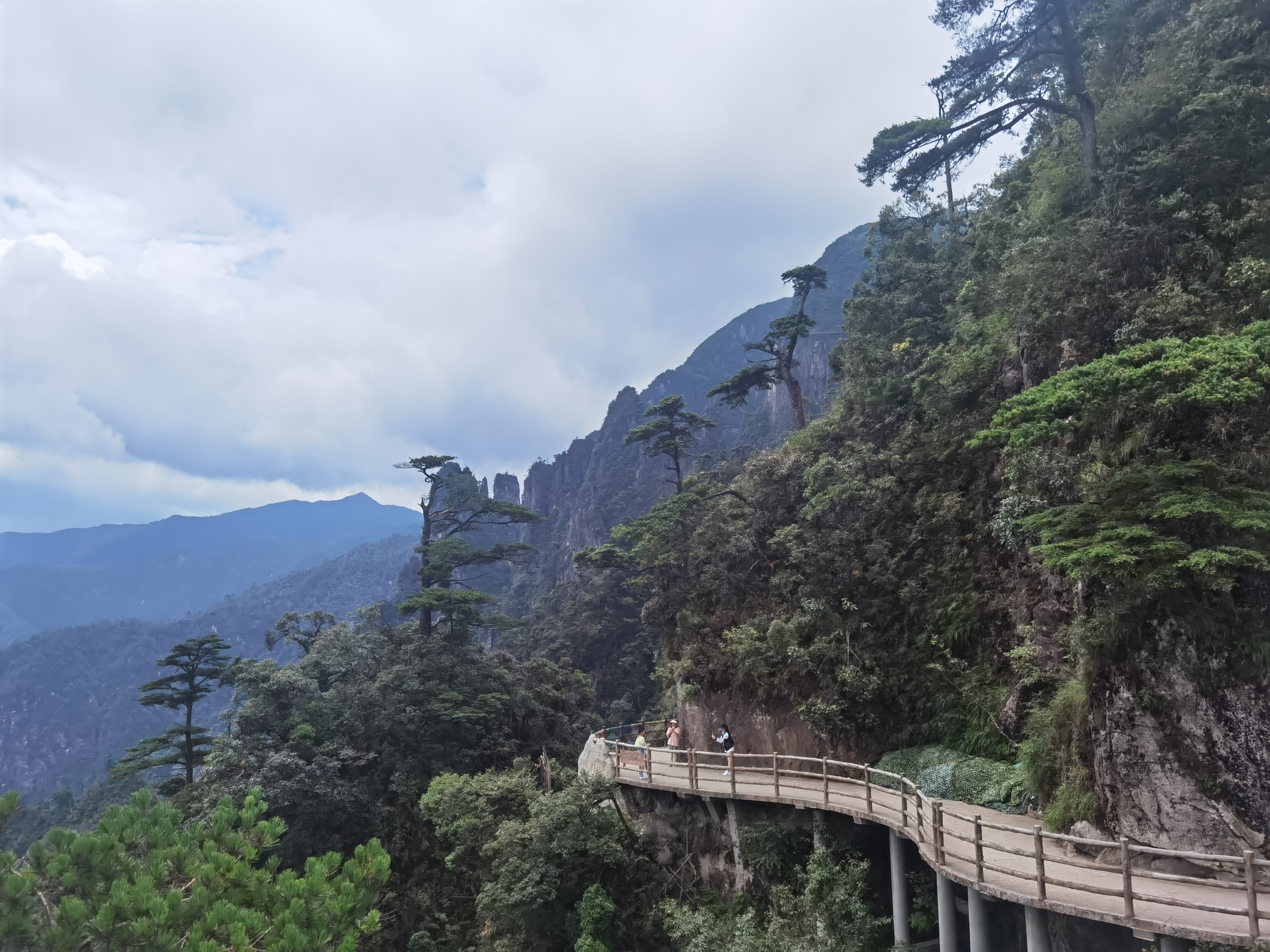 【最長纜車+棧道】在郴州原始森的險峰如履平地