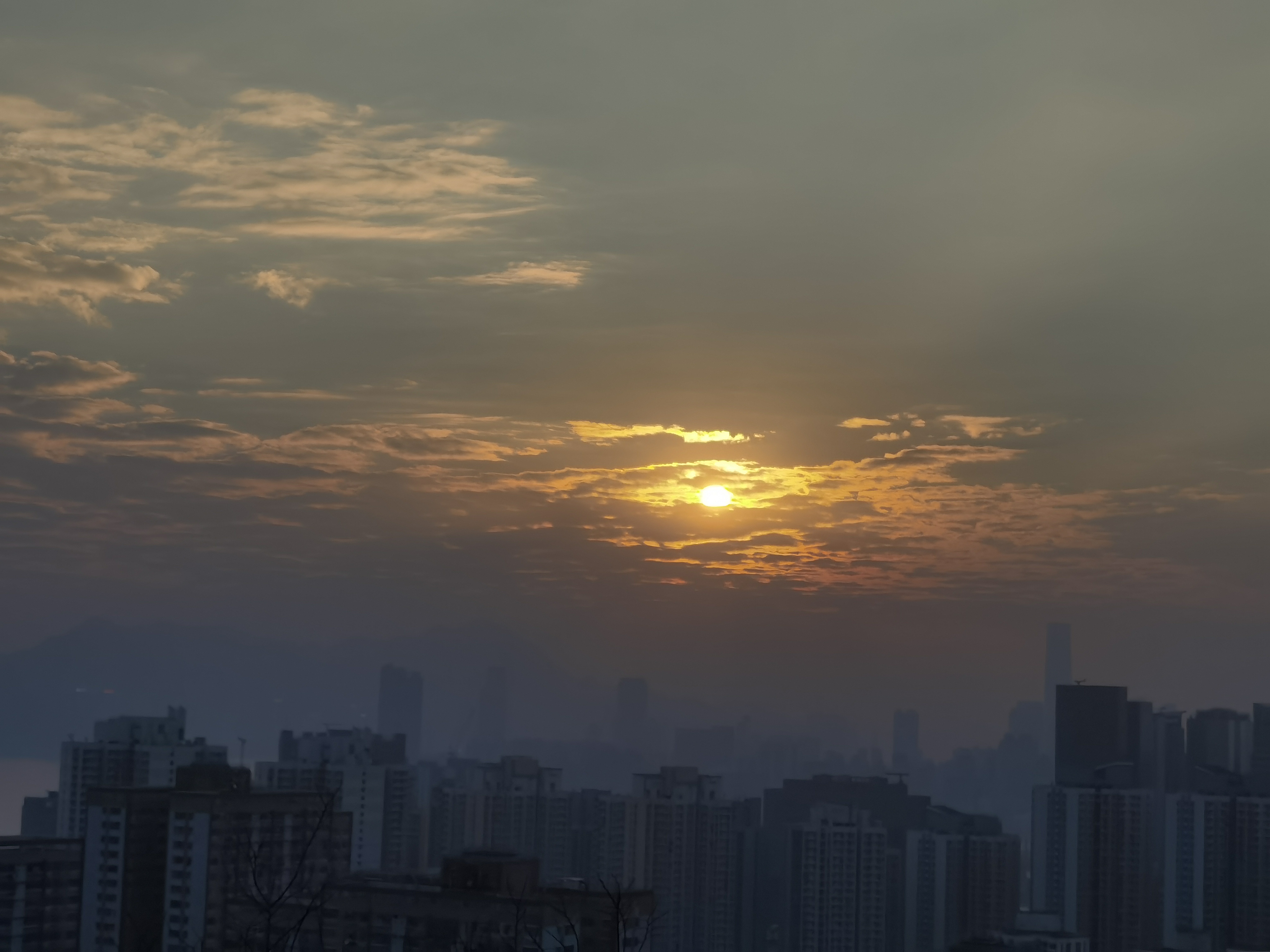 新檢測報告上線啦！