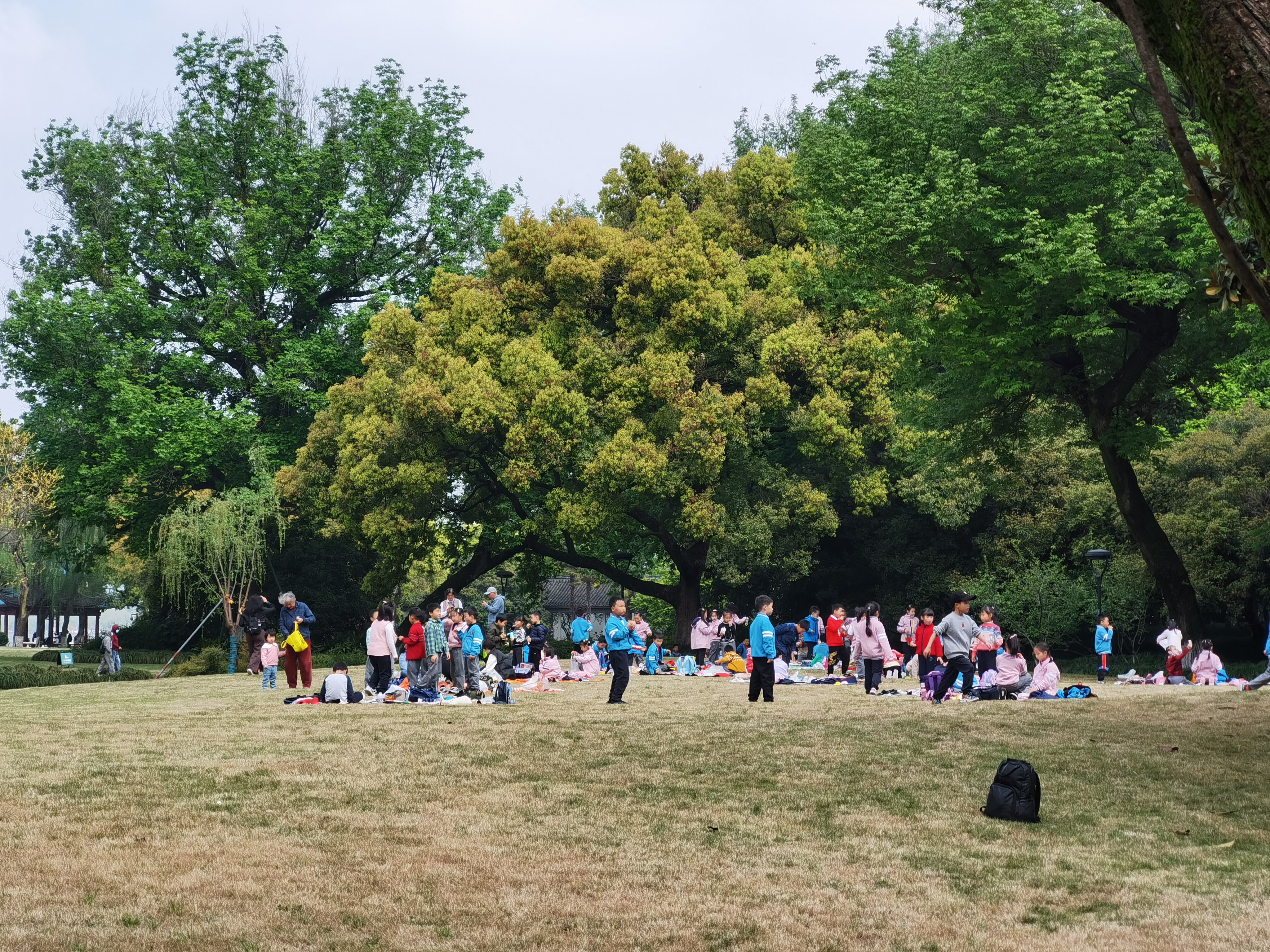 【家務勞動】想孩子日後更成功？家長最好做一件事