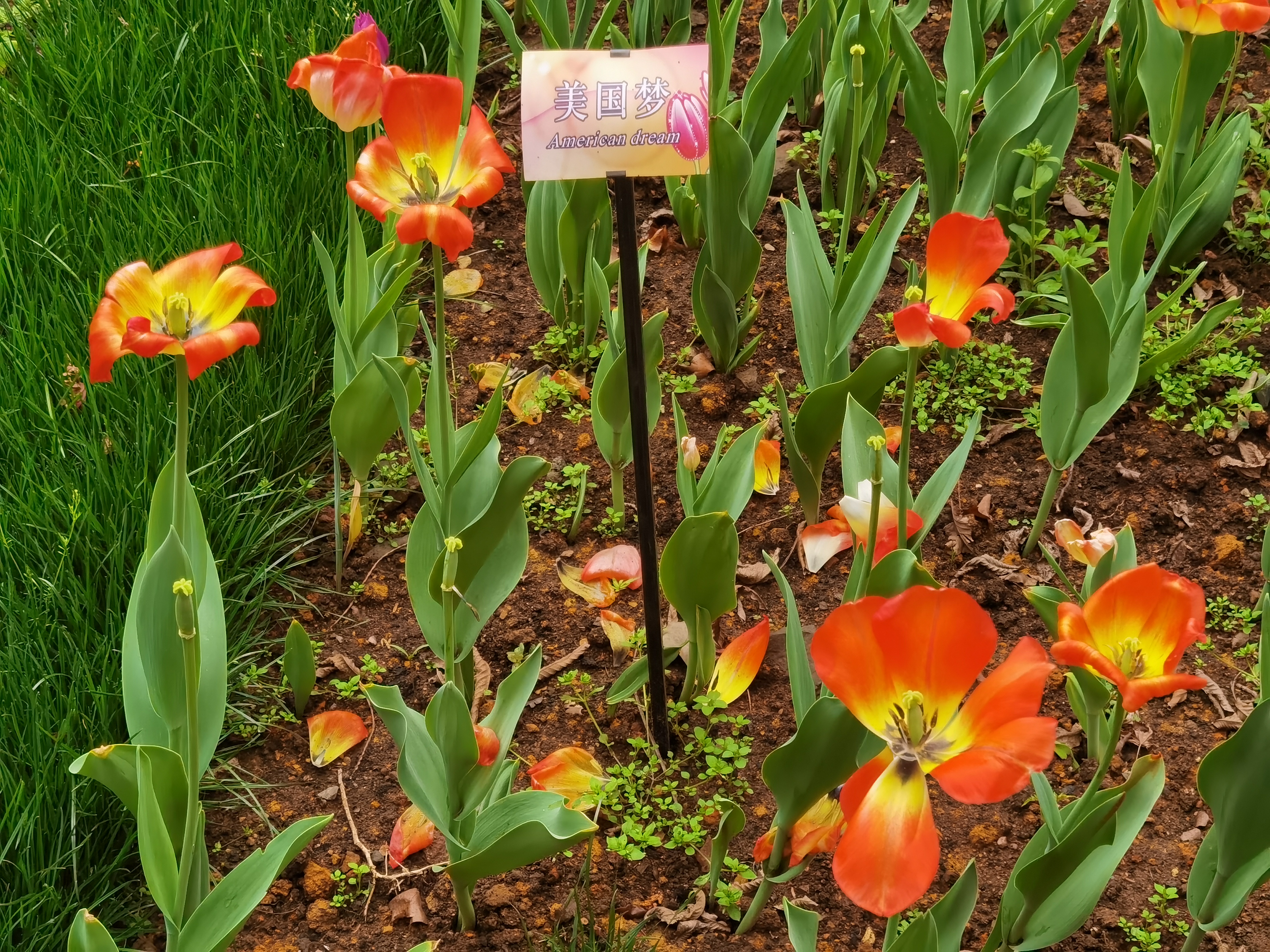 國債利息將超軍費？ 新數據資訊圖告訴您美國架在債臺上的炮臺不穩了！