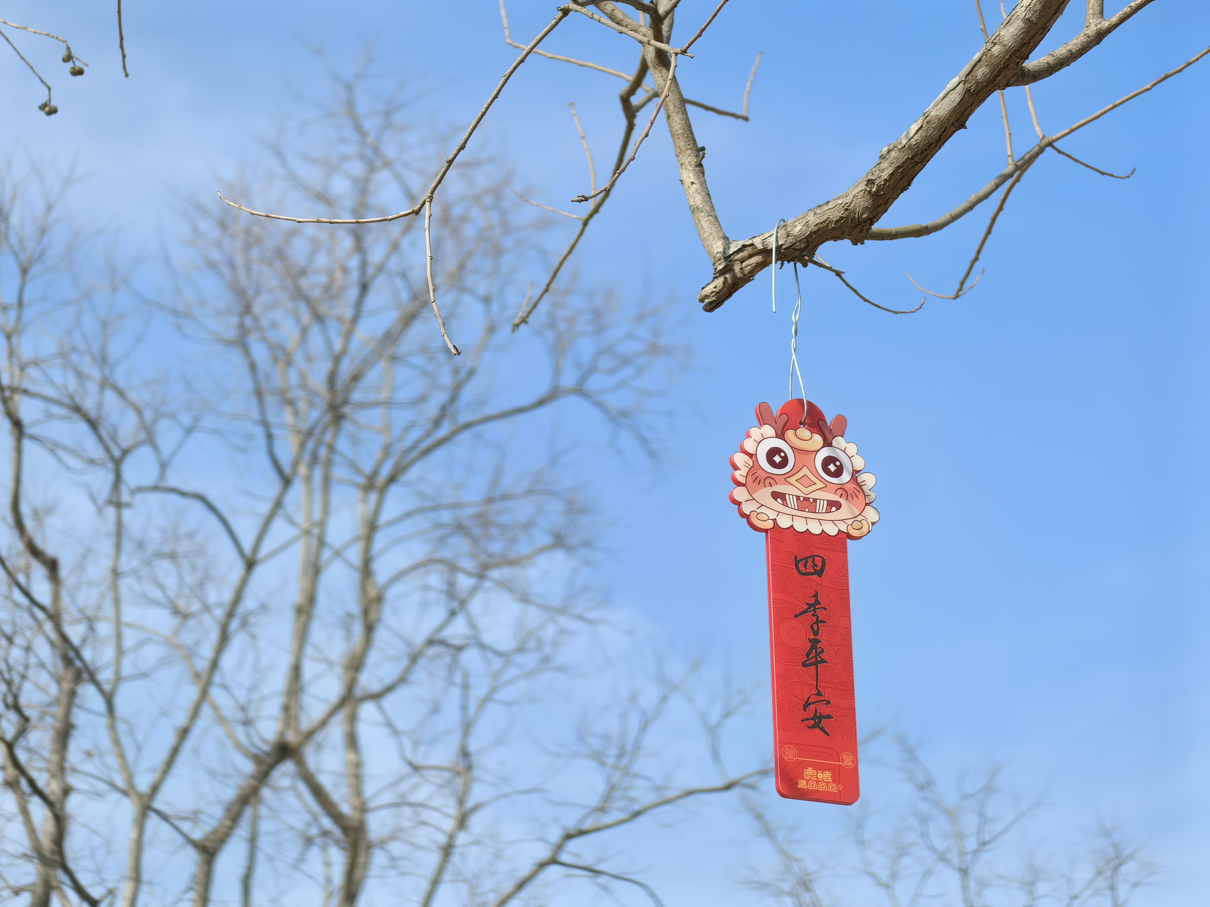 【12月22日】中國農曆新年成為了聯合國假日