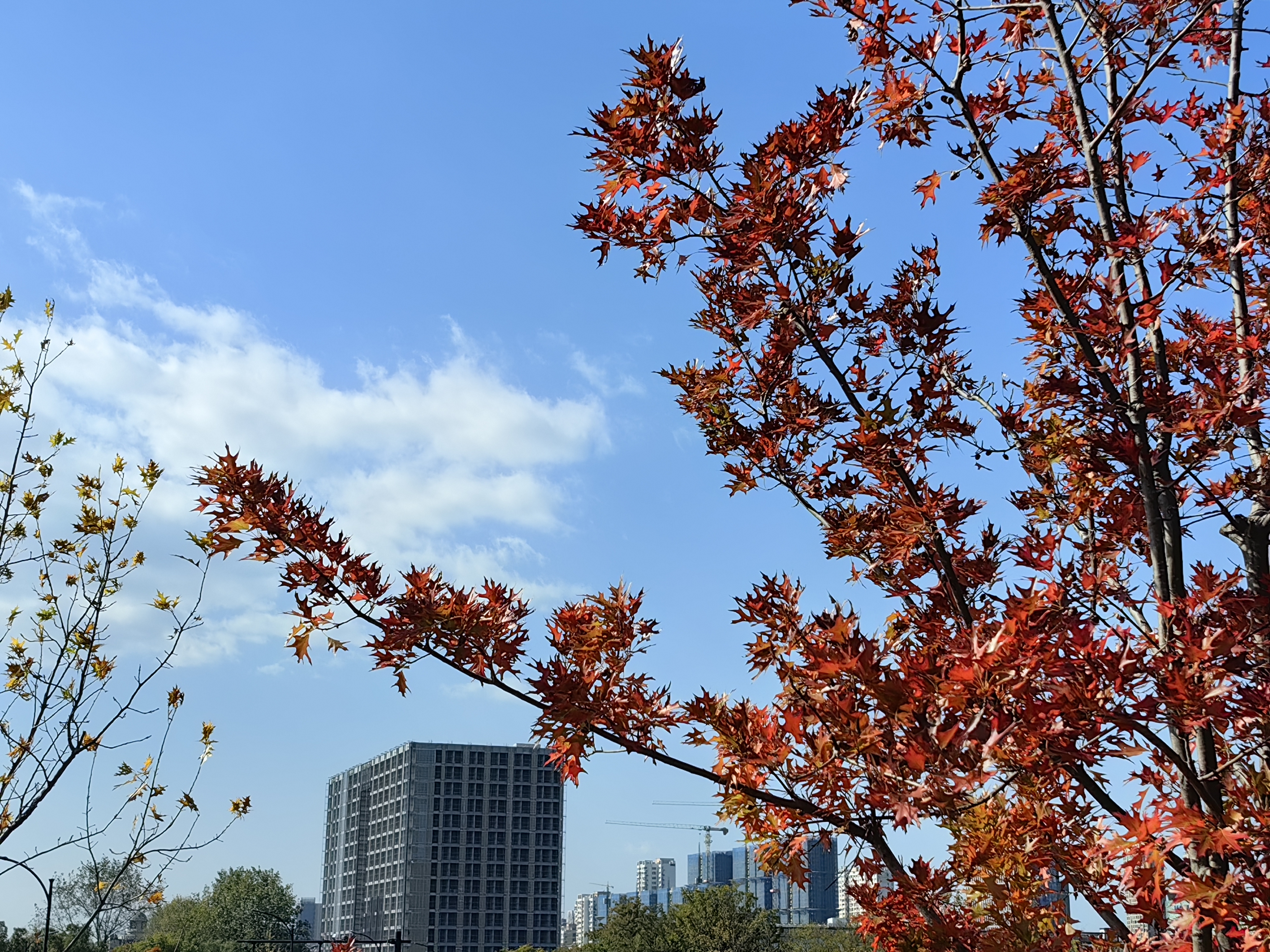【二十四節氣】小寒股市彈？上證指數研究的啟示