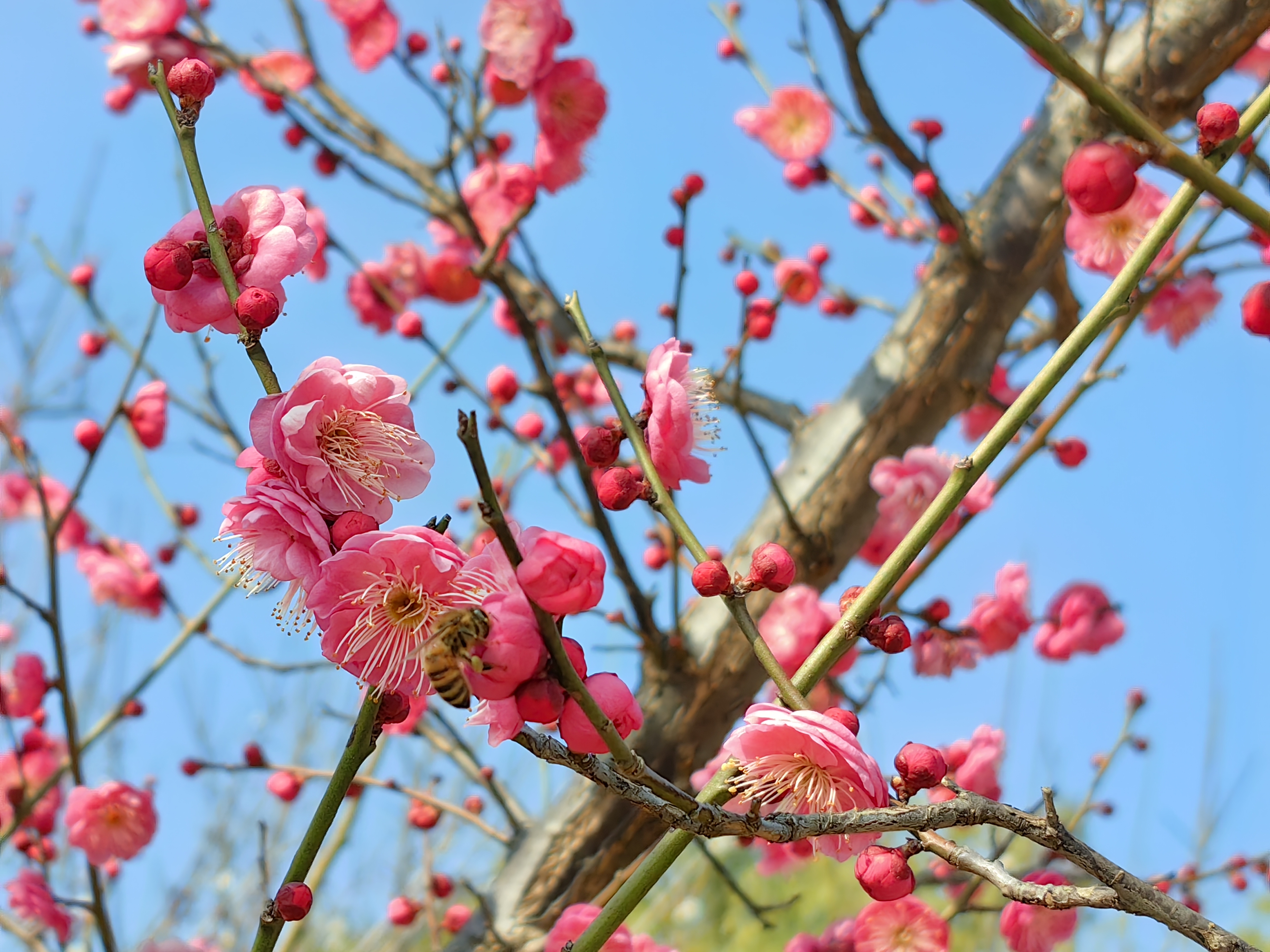 【二十四節氣】東風解凍股市振？上證指數在立春的往績如何？