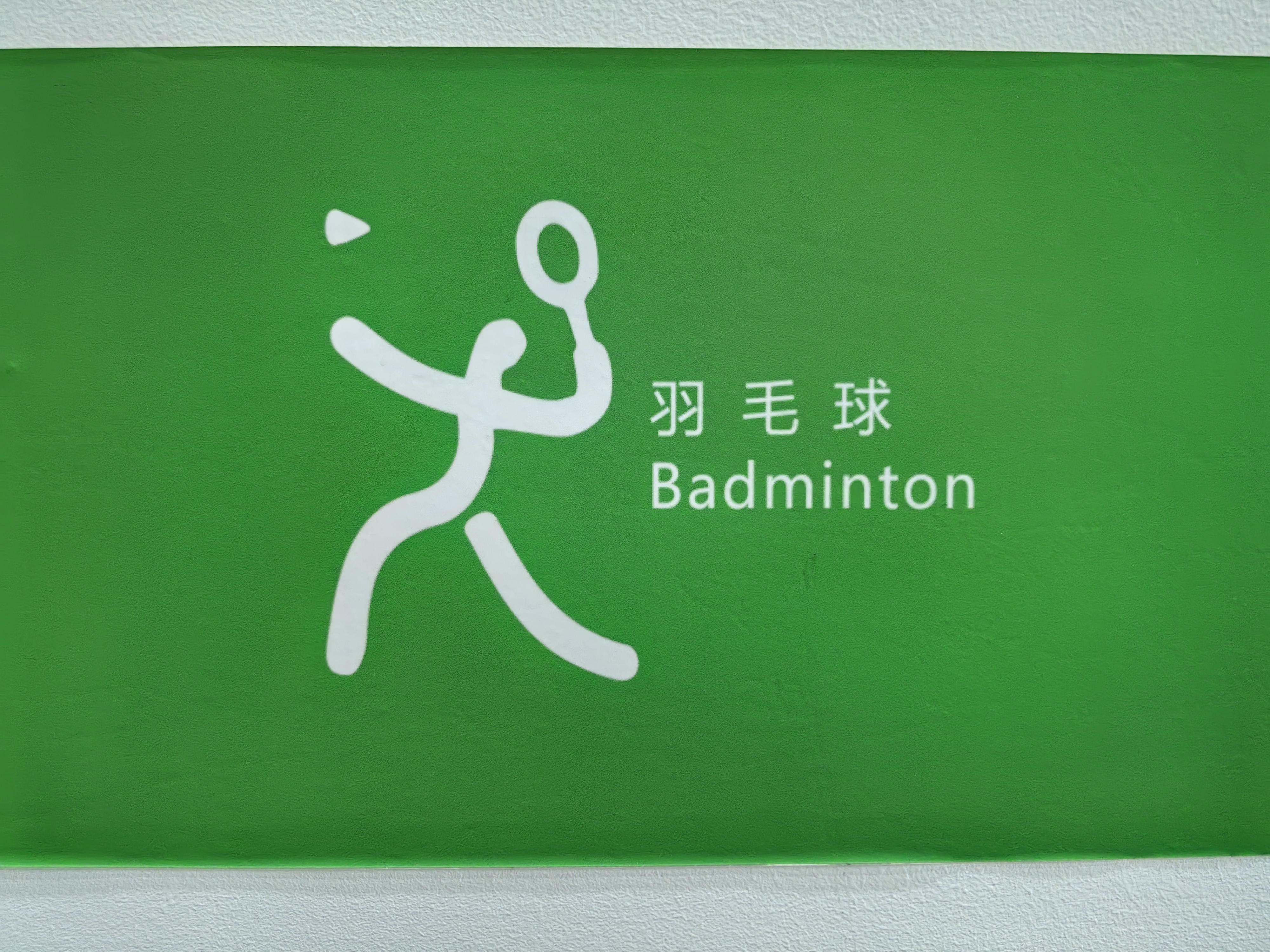 【體育健身】想打好羽毛球成為第二個林丹，哪種能力最重要？