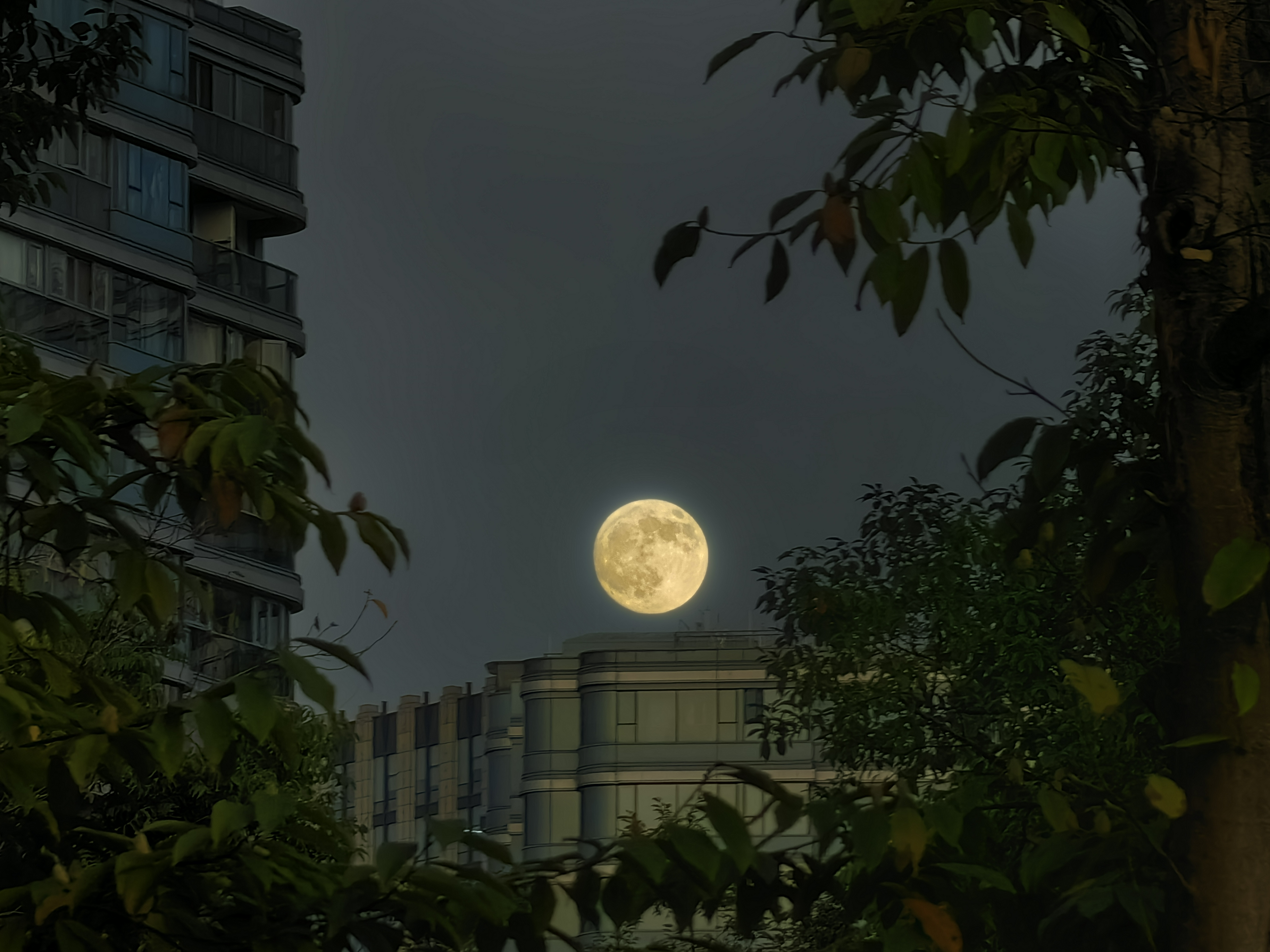 神策研究院祝您中秋節快樂！