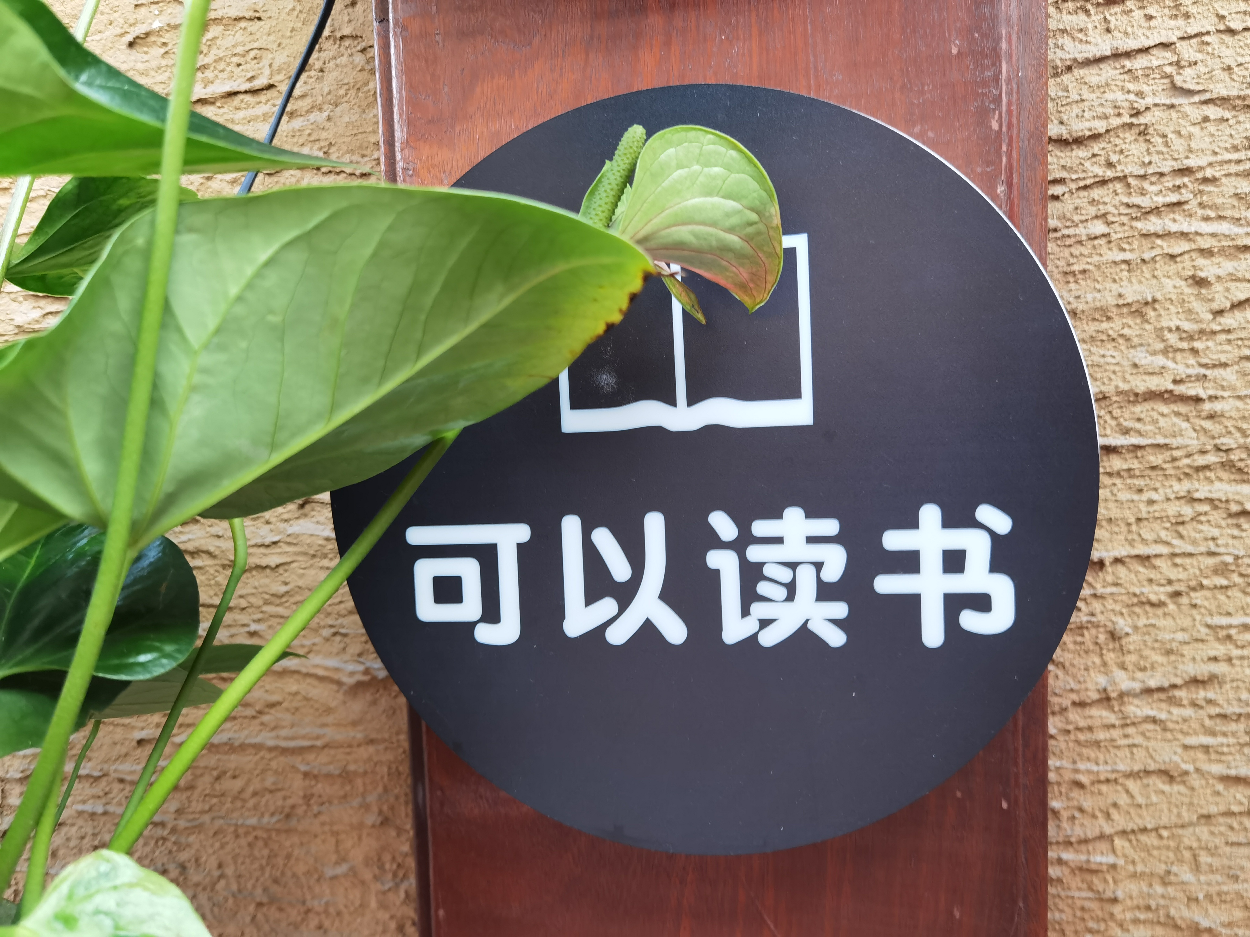 【問心】您在哪個領域「沒有人比我更懂」，就連「懂王」也輸給您？